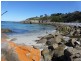 21174 Tasman Highway, Chain Of Lagoons TAS 7215
