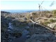 21174 Tasman Highway, Chain Of Lagoons TAS 7215