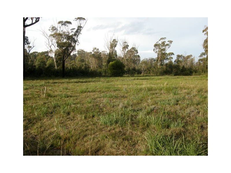 Lot 2 Upper Scamander Road, Scamander TAS 7215