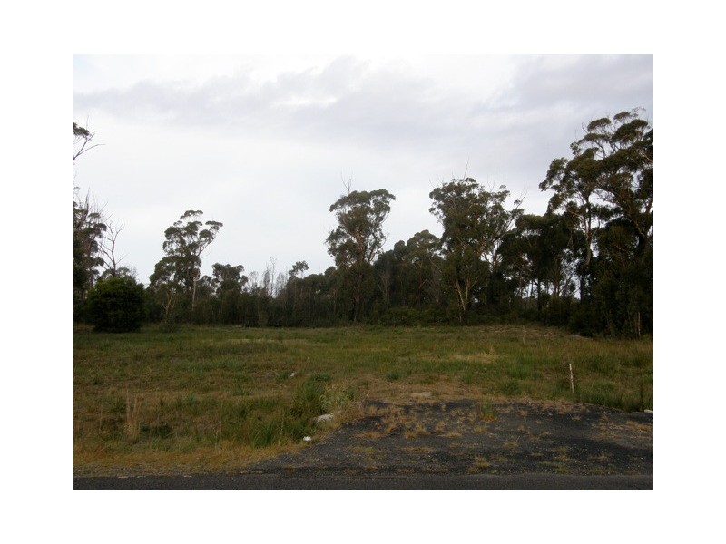 Lot 2 Upper Scamander Road, Scamander TAS 7215