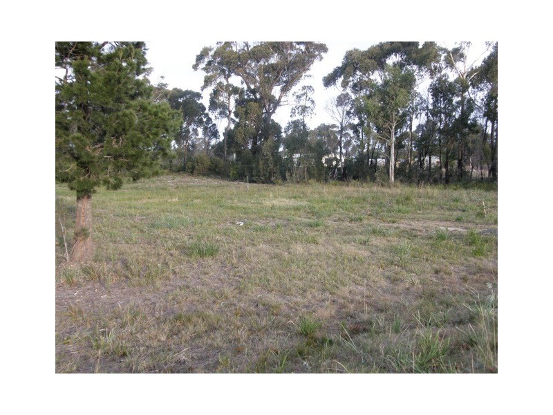 Lot 2 Upper Scamander Road, Scamander TAS 7215