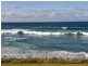 43 New Street, Falmouth TAS 7215