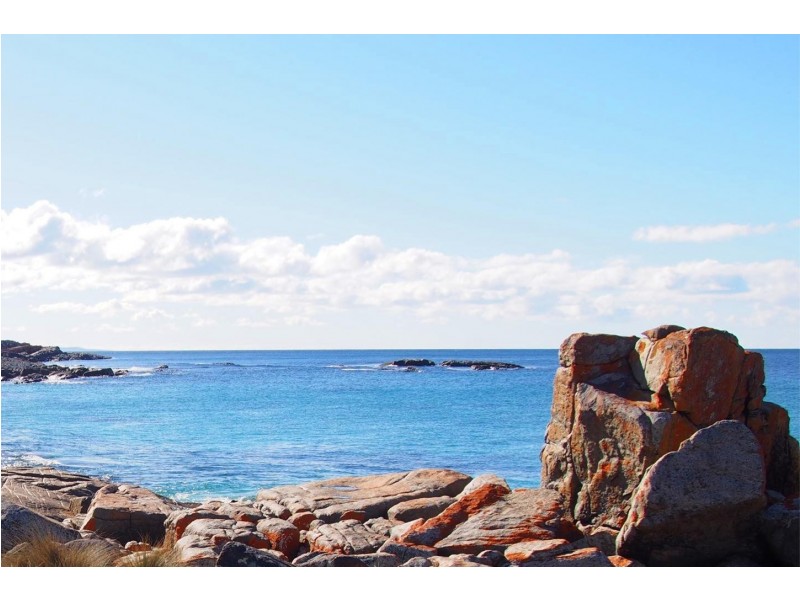 21490 Tasman Highway, Four Mile Creek TAS 7215