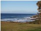 21490 Tasman Highway, Four Mile Creek TAS 7215