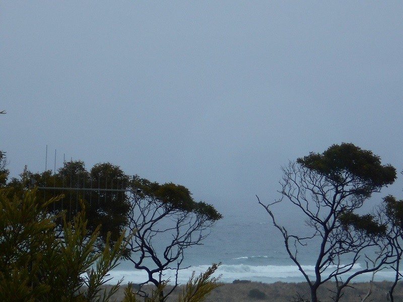 19 Pringle Street, Scamander TAS 7215