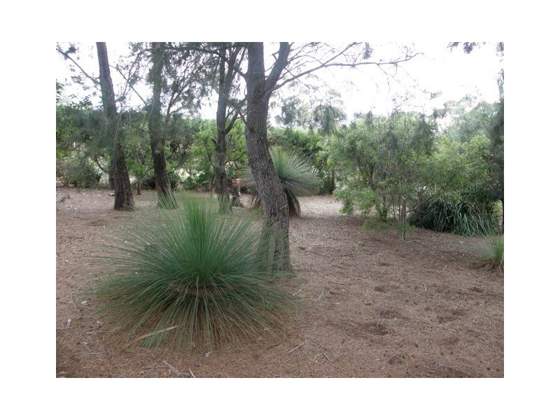 17 Coffey Drive, Binalong Bay TAS 7216