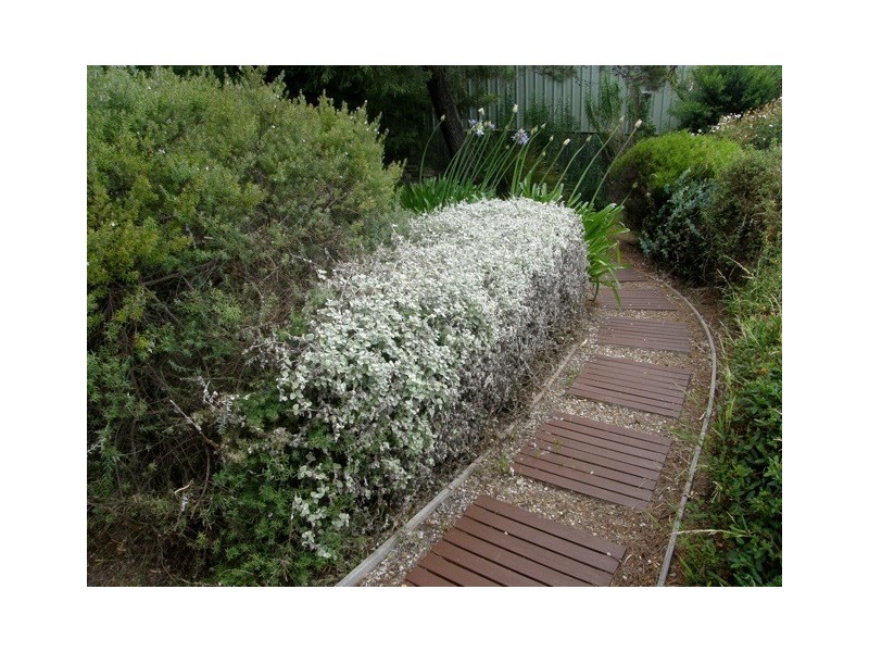 17 Coffey Drive, Binalong Bay TAS 7216