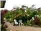 30 Osprey Drive, Stieglitz TAS 7216