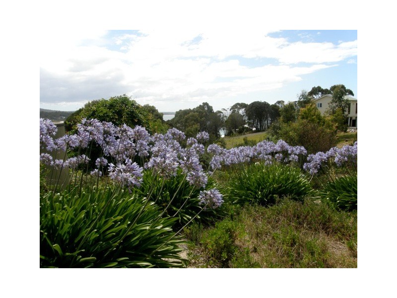 14 Coffey Drive, Binalong Bay TAS 7216