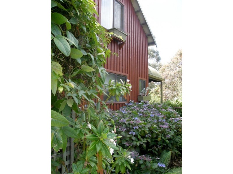 14 Coffey Drive, Binalong Bay TAS 7216