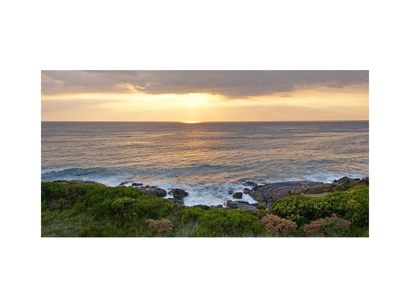 25C Morrison Street, Falmouth TAS 7215