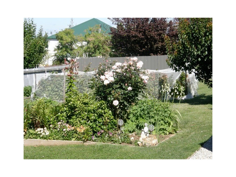 12 Clive Street, St Marys TAS 7215