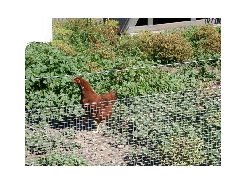 12 Clive Street, St Marys TAS 7215