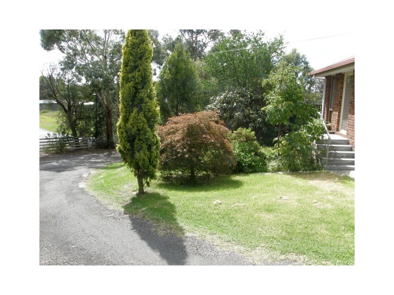 43 Falmouth Street, St Helens TAS 7216