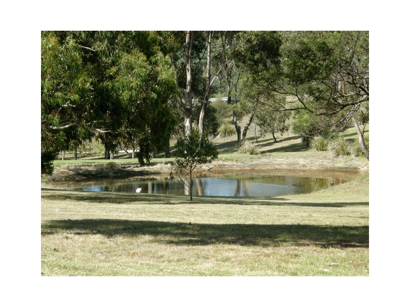 21506 Tasman Highway, Four Mile Creek TAS 7215