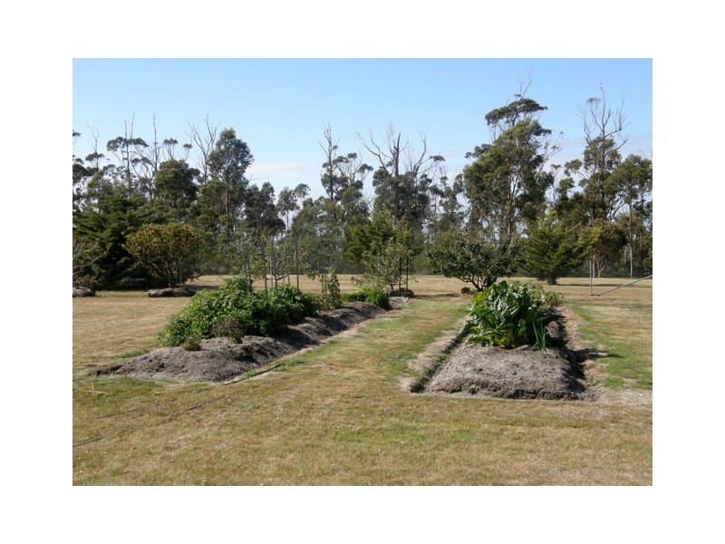 21506 Tasman Highway, Four Mile Creek TAS 7215