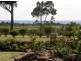 21506 Tasman Highway, Four Mile Creek TAS 7215