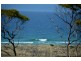 19 Pringle Street, Scamander TAS 7215