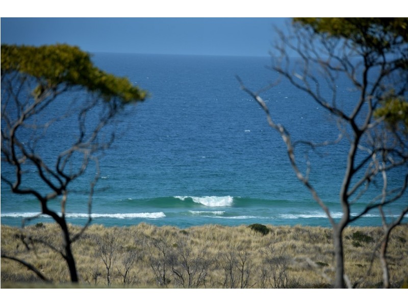 19 Pringle Street, Scamander TAS 7215