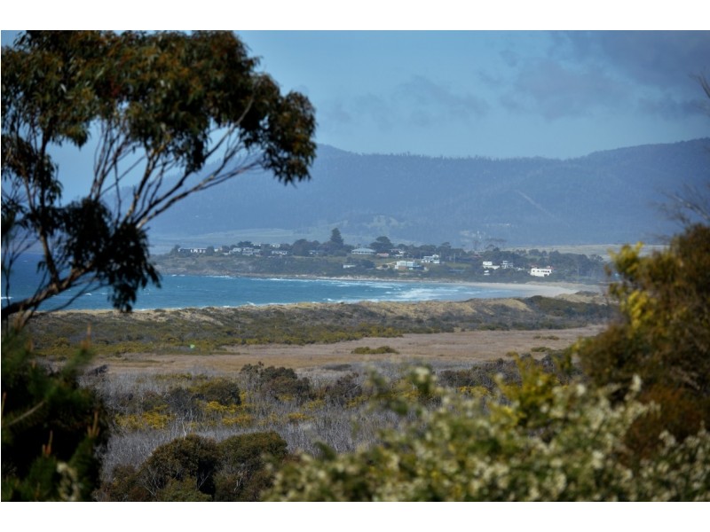 19 Pringle Street, Scamander TAS 7215