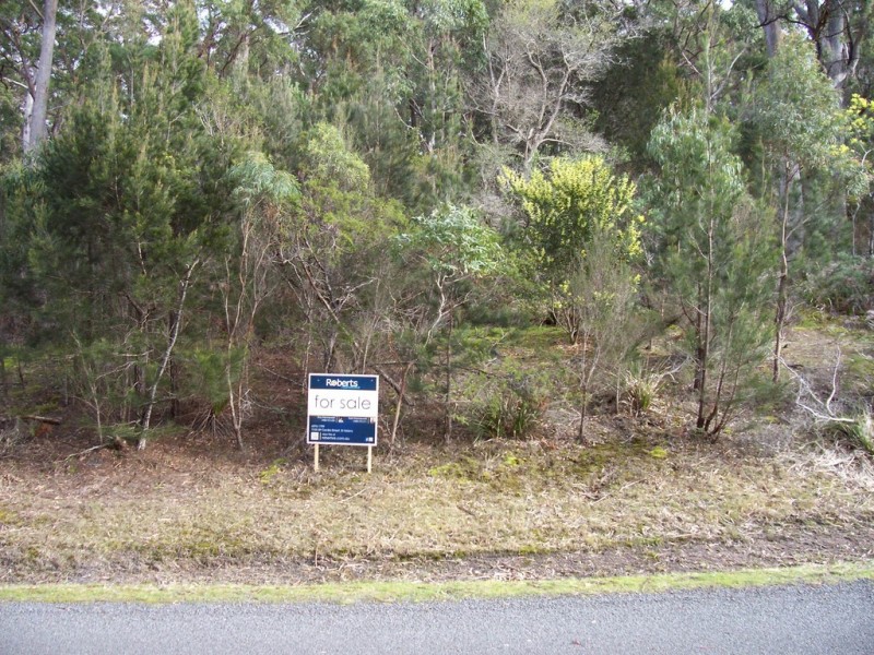 68 Acacia Drive, Ansons Bay TAS 7216