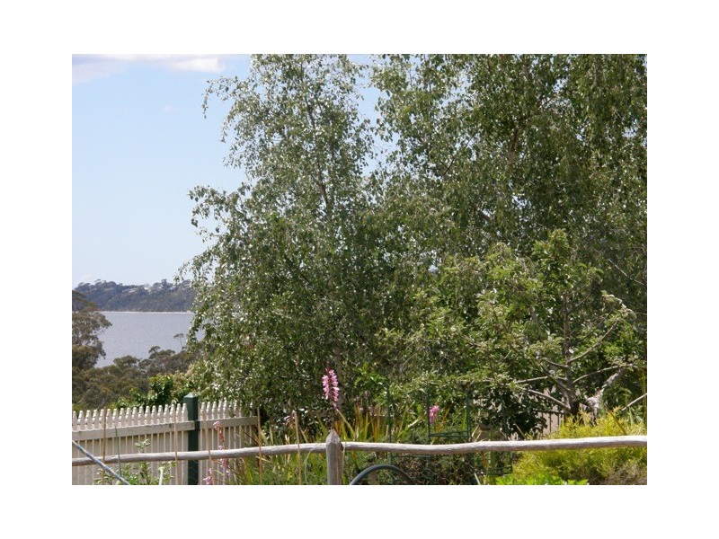 29 Bayvista Rise, St Helens TAS 7216