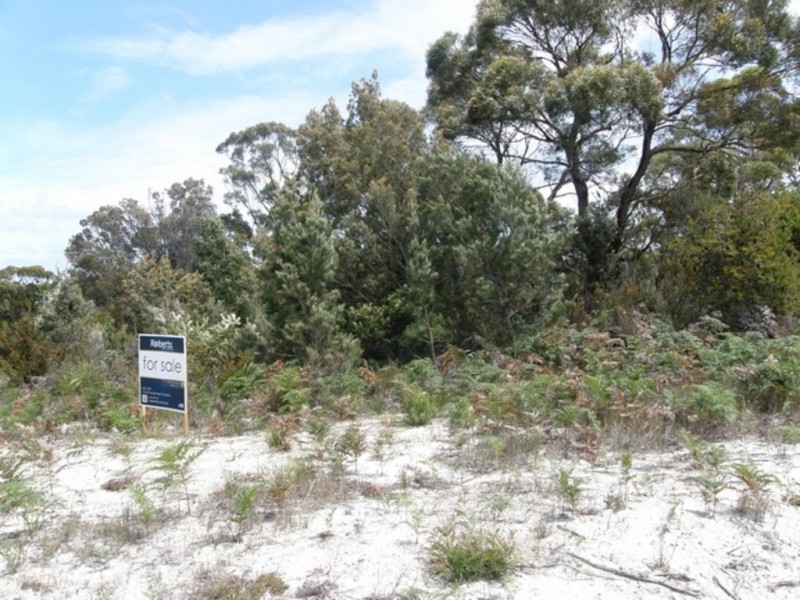 17 Jeanneret Crescent, Binalong Bay TAS 7216