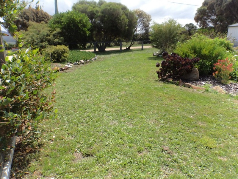 31 Morrison Street, Falmouth TAS 7215