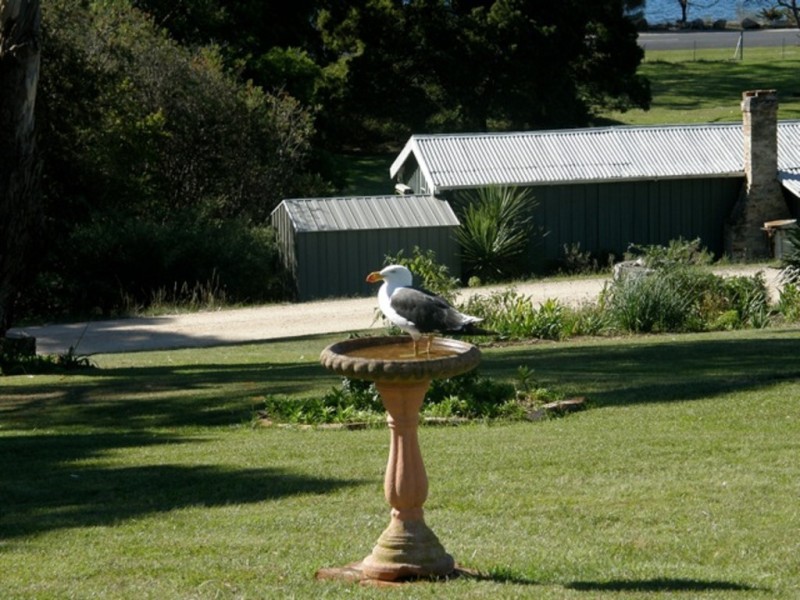 12 Parkside Avenue, St Helens TAS 7216