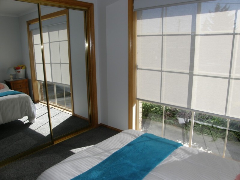 19 Cherrywood Drive, Scamander TAS 7215