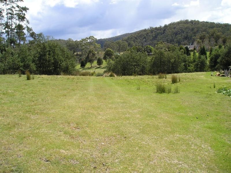 . Upper Scamander Road, Scamander TAS 7215