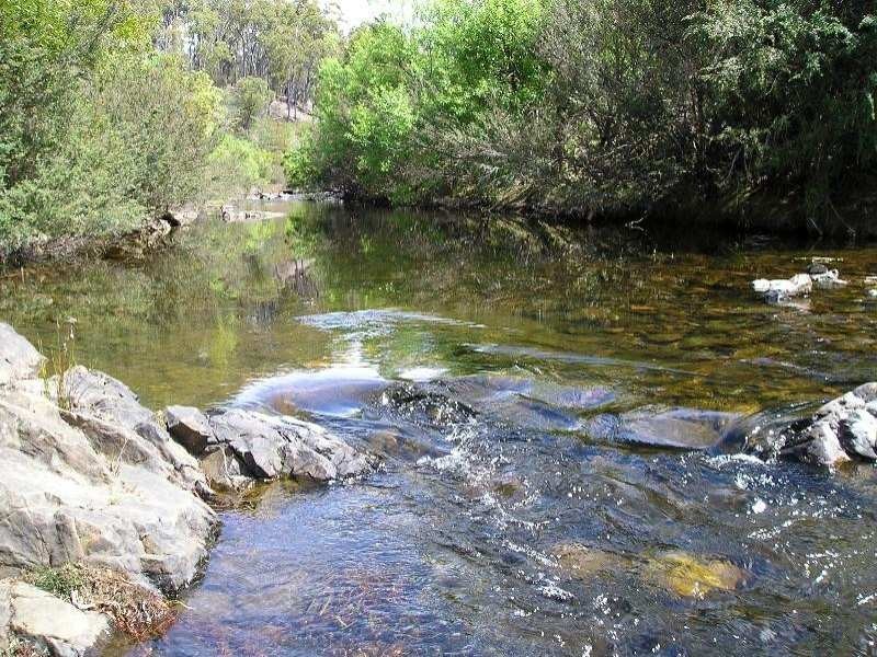 . Upper Scamander Road, Scamander TAS 7215