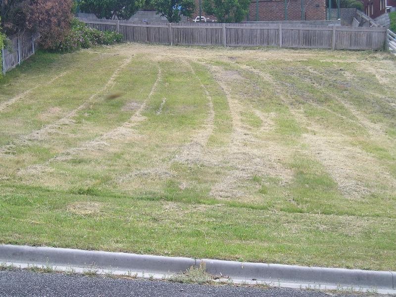 6 Erythos Grove, St Helens TAS 7216