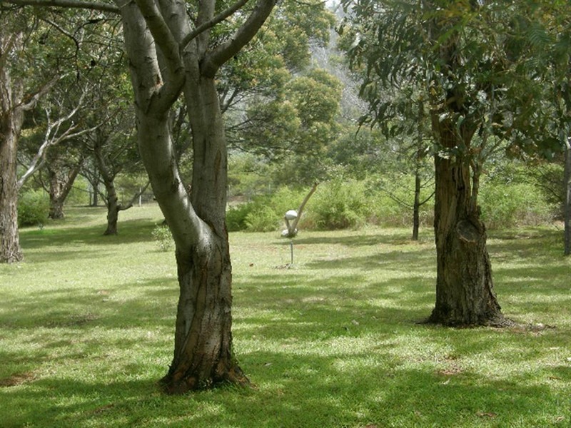 RA21384 Tasman Highway, Four Mile Creek TAS 7215