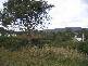 Lot 3 Peace Street, Nubeena TAS 7184