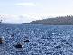 Lot 2 Masons Point Road, Eaglehawk Neck TAS 7179