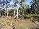 Lot 2 Masons Point Road, Eaglehawk Neck TAS 7179
