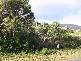 Lot 4 Eagleview Road, Nubeena TAS 7184