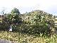 Lot 4 Eagleview Road, Nubeena TAS 7184