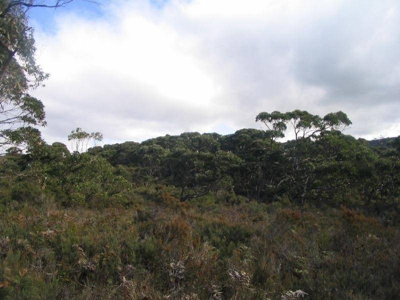 Lot 1 Dog Bark Road, Port Arthur TAS 7182