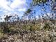 Lot 2 Sommers Bay Road, Murdunna TAS 7178