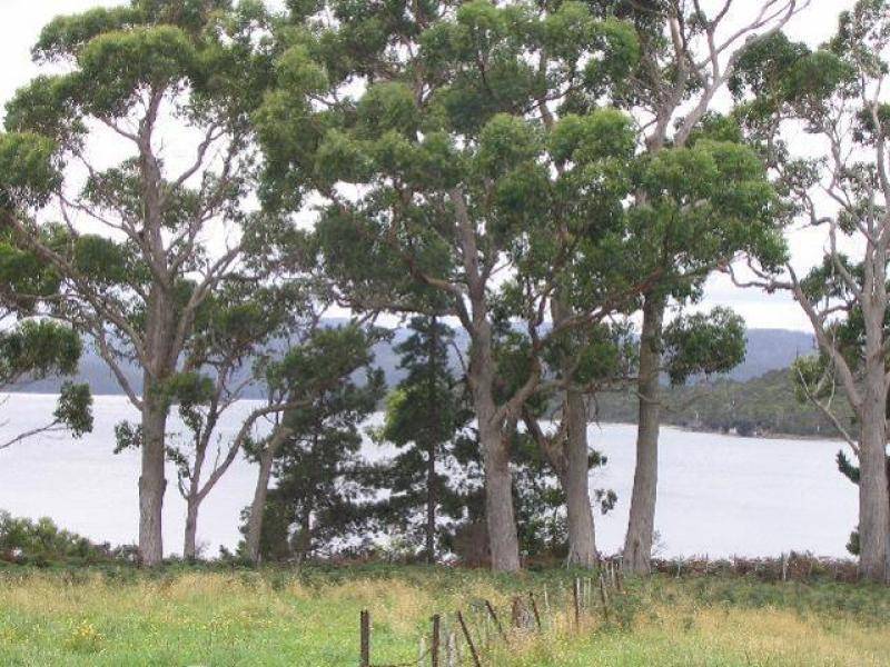 Lot 1 Safety Cove Road, Port Arthur TAS 7182