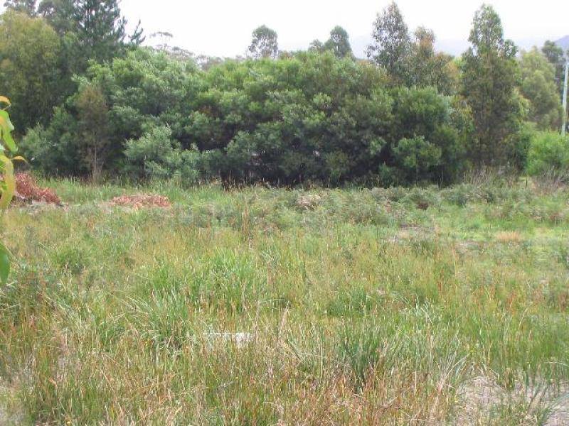 46 Skeggs Avenue, White Beach TAS 7184