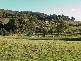 2512 Nubeena Road, Port Arthur TAS 7182
