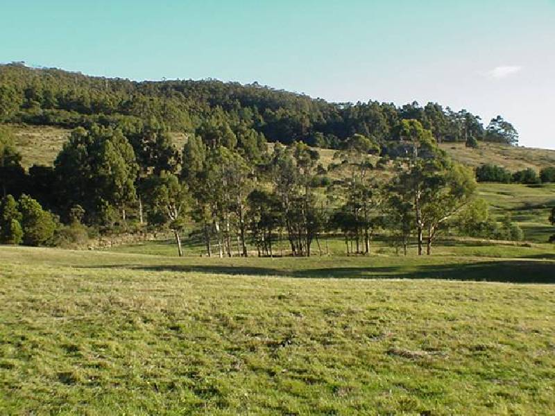 2512 Nubeena Road, Port Arthur TAS 7182