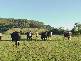 2512 Nubeena Road, Port Arthur TAS 7182