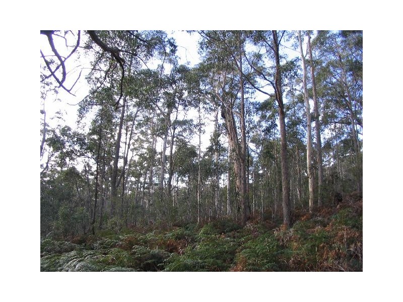 750 Dam Road, Saltwater River TAS 7186