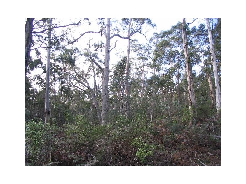 750 Dam Road, Saltwater River TAS 7186