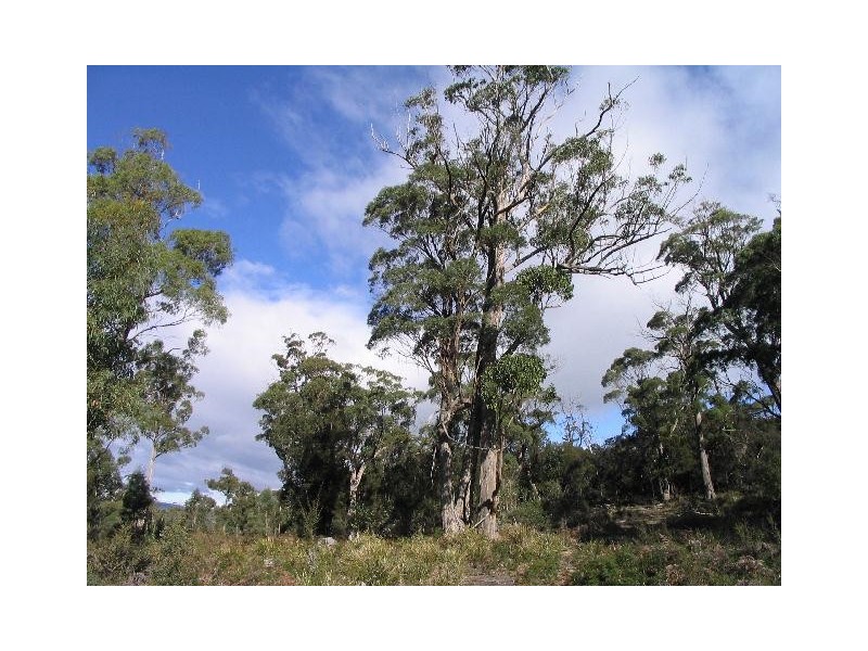 Lot 1 Flinders Bay Road, Murdunna TAS 7178