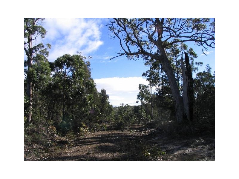 Lot 1 Flinders Bay Road, Murdunna TAS 7178